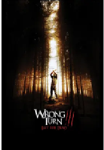 [夸克网盘]致命弯道3 Wrong Turn 3: Left for Dead (2009)恐怖 奇幻 冒险美国 德国 保加利亚英语 豆瓣 6.3