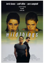 [夸克网盘]玩尽杀绝 Wild Things(1998)悬疑 惊悚 犯罪 美国 英语 豆瓣7.0