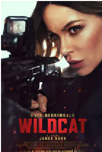 [夸克网盘]限时营救 Wildcat (2025)动作 惊悚 美国英语 豆瓣 4.5