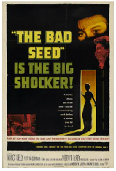 [夸克网盘]坏种 The Bad Seed(1956)剧情 悬疑 惊悚 恐怖 美国 英语 豆瓣8.0