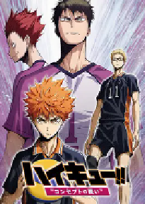 [夸克网盘]排球少年剧场版：观念之战 劇場版 ハイキュー!! コンセプトの戦い (2017)剧情 动画 运动日本 日语豆瓣 9.3