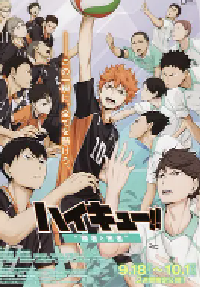 [夸克网盘]排球少年剧场版：胜者与败者 劇場版 ハイキュー!! 勝者と敗者 (2015)动画 运动日本 日语豆瓣 9.2