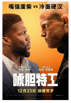 [夸克网盘]唬胆特工 The Man from Toronto (2022)喜剧 动作 犯罪 美国 加拿大 英语 豆瓣6.2