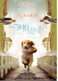 [夸克网盘]一条狗的使命 A Dog's Purpose (2017)剧情 喜剧 家庭美国 英语豆瓣 7.7