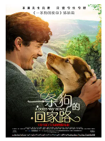 [夸克网盘]一条狗的回家路 A Dog's Way Home (2019)剧情 冒险 中国大陆 美国 英语 豆瓣6.8