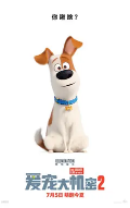 [夸克网盘]爱宠大机密2 The Secret Life of Pets 2 (2019)喜剧 动画 冒险 美国 英语 豆瓣6.8