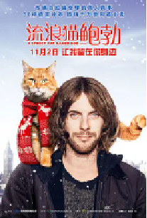 [夸克网盘]流浪猫鲍勃 A Street Cat Named Bob (2016)剧情 喜剧 传记英国 英语豆瓣 7.9